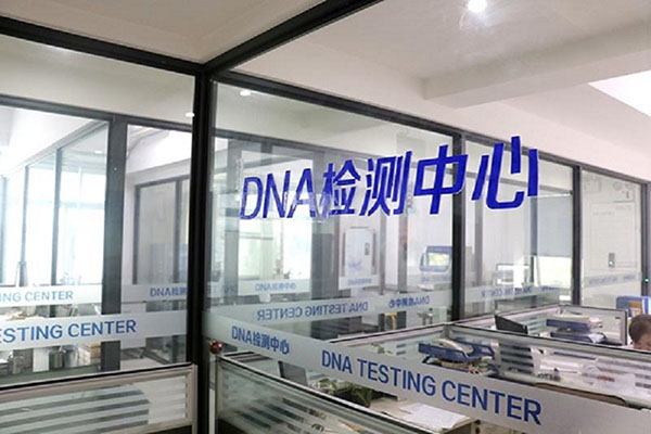 潍坊亲子DNA鉴定的结果如何解读？ 
